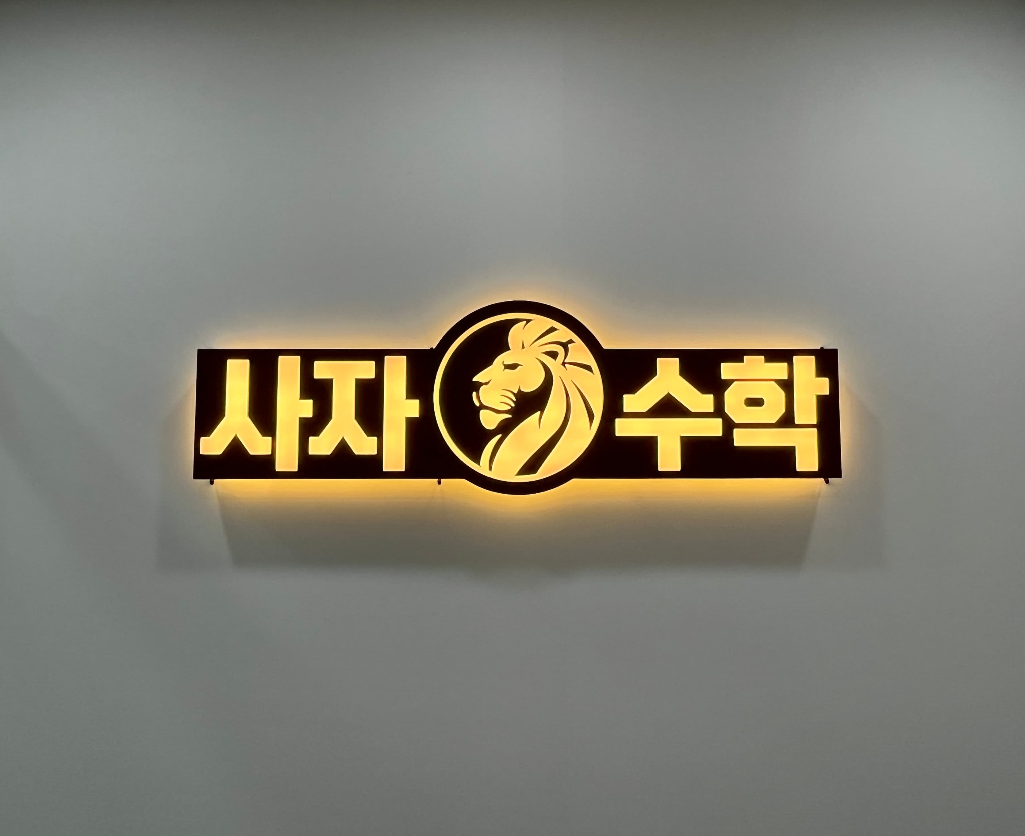 논증하는사자수학 thumbnail